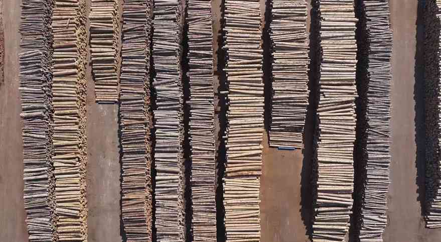 连续5个月负增长！2025中国木材进口“失速”！(图3)