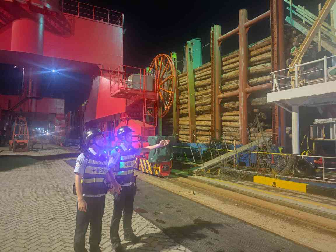 福建莆田口岸：以高效通关破解原木进口瓶颈，原木进口量超 70 万根(图2)