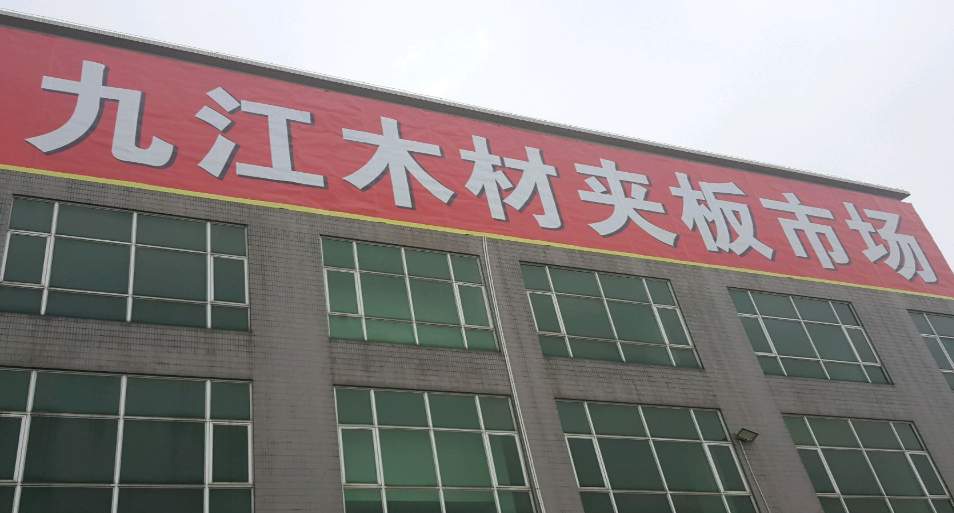 广东主要木材市场，你知道有哪些？(图4)