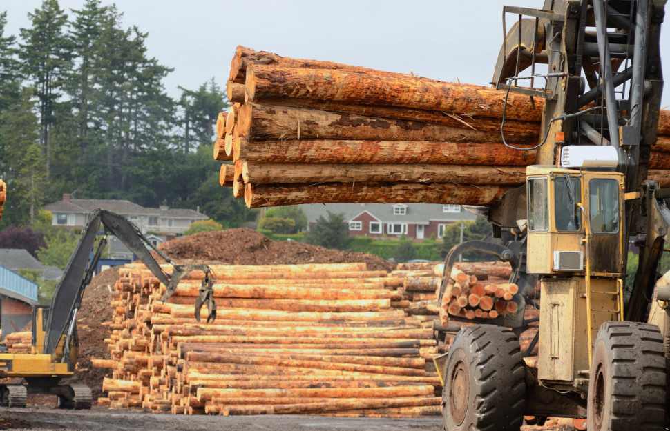 国内木材市场“阶段性冲刺”，进口反弹增长15.9%！(图8)