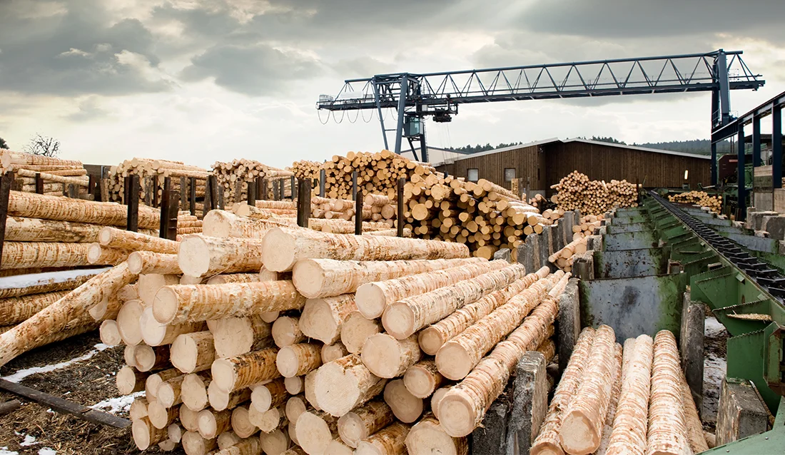 南京林业大学研发振动传感技术，实现木材水分快速无损检测(图2)
