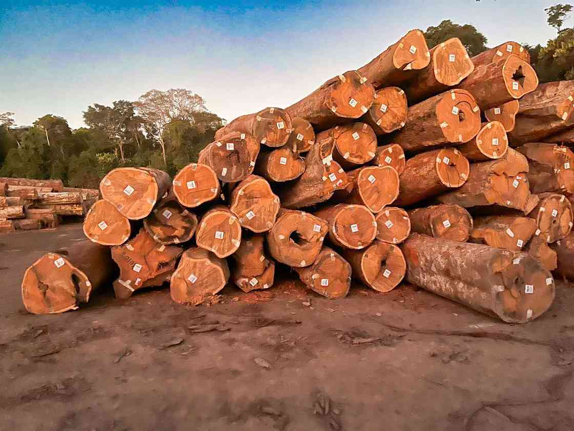 全球需求放缓，巴西 5 月木制品出口下降 12%(图1)