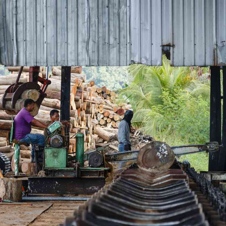 从“标准风险”到“低风险”：马来西亚木材业的突围之路(图1)