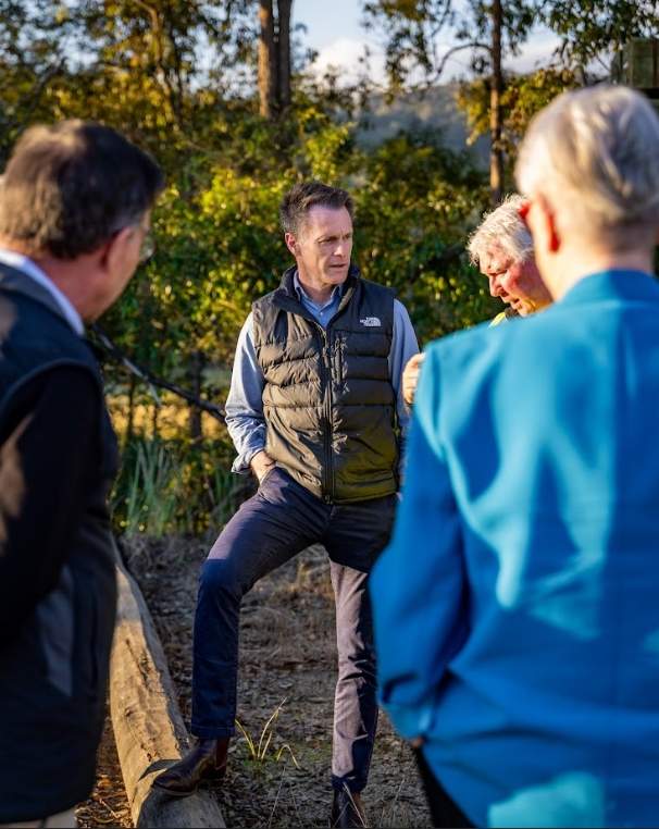 从森林到古桥：NSW 硬木如何撑起皮尔蒙特桥的下一个百年？(图3)