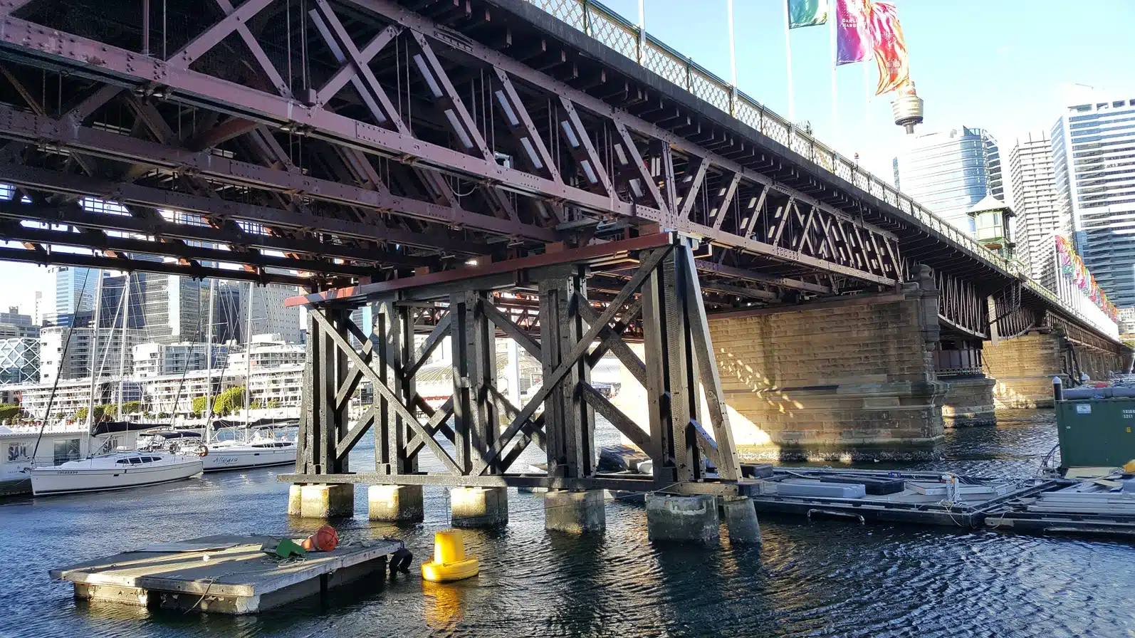 新州州长面临艰难抉择：考拉公园扩建关乎木材行业与社区未来(图4)