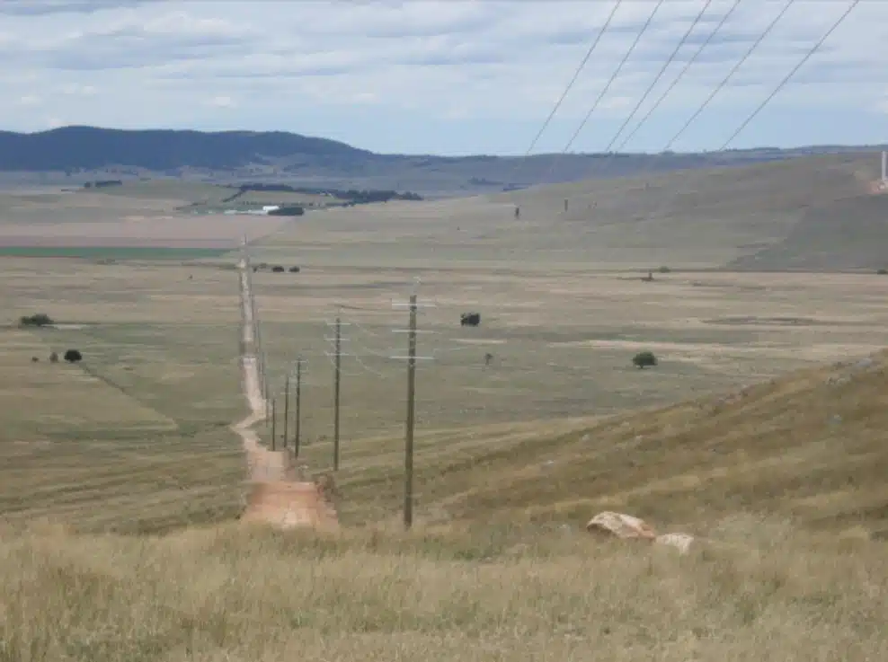 新州州长面临艰难抉择：考拉公园扩建关乎木材行业与社区未来(图12)