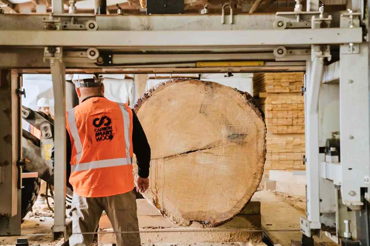 从废料到建材：AI驱动的Cambium如何重塑木材价值链？(图1)