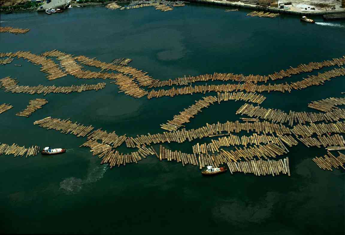 从胶合板到咖啡豆：欧盟毁林法规下，谁在为全球供应链“买单”？(图4)