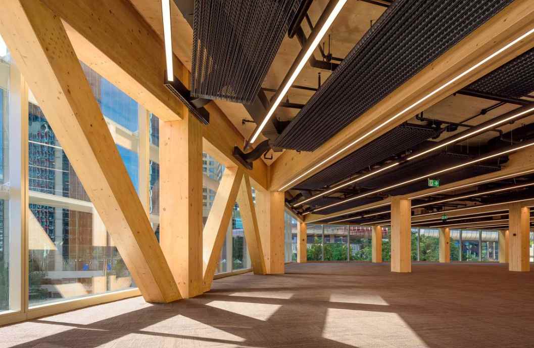 这地推行：将木材用于建筑和供暖(图1)