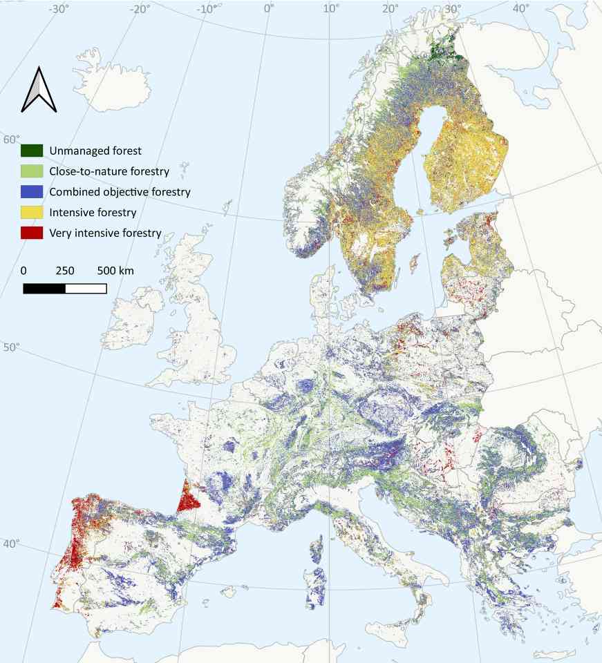 木材逆袭记：欧盟森林凭什么撑起绿色经济半壁江山？(图3)