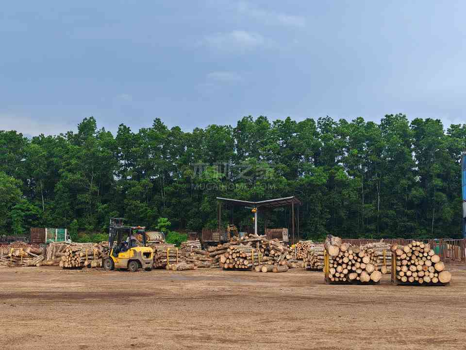 橡胶木进口刚反弹就遇“急刹车”？行业人士：市场增速或将放缓(图1)