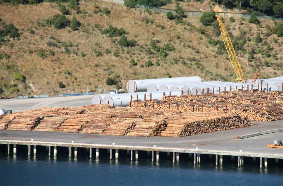 “无纸化”通关！中澳木材贸易按下快进键，16亿大单复苏信号拉响！(图1)