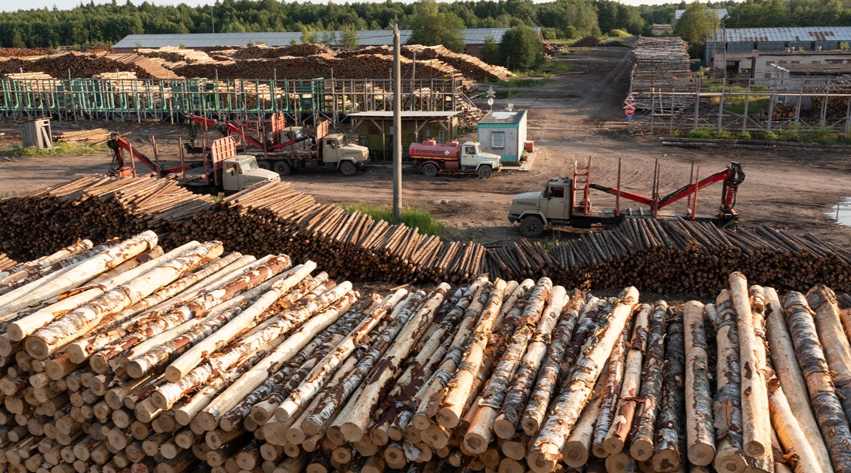 布里亚特共和国向中国出口木材9.74万m³，托木斯克州19%出口至中国(图2)