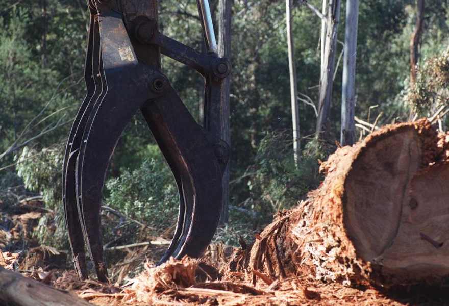 出口下滑22.9%，木材出口仍是关键支柱行业！(图2)