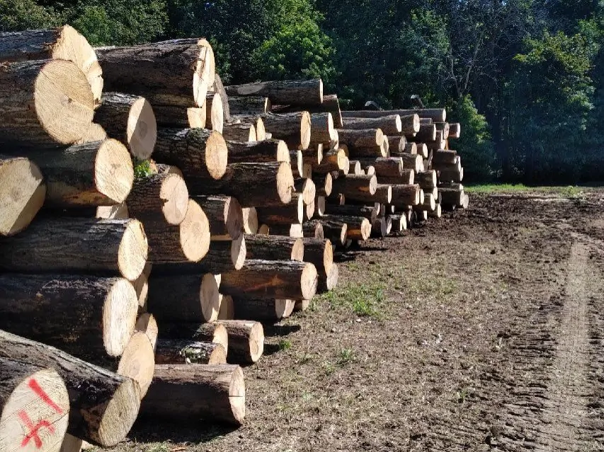 加州森林野火研究：私营工业林地严重火灾风险比公共土地高1.5倍，结构差异成主因(图2)