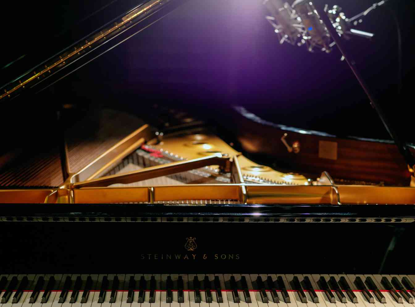 伐木限制+对华禁令双重打击：阿拉斯加锡特卡云杉短缺，施坦威钢琴供应告急(图1)