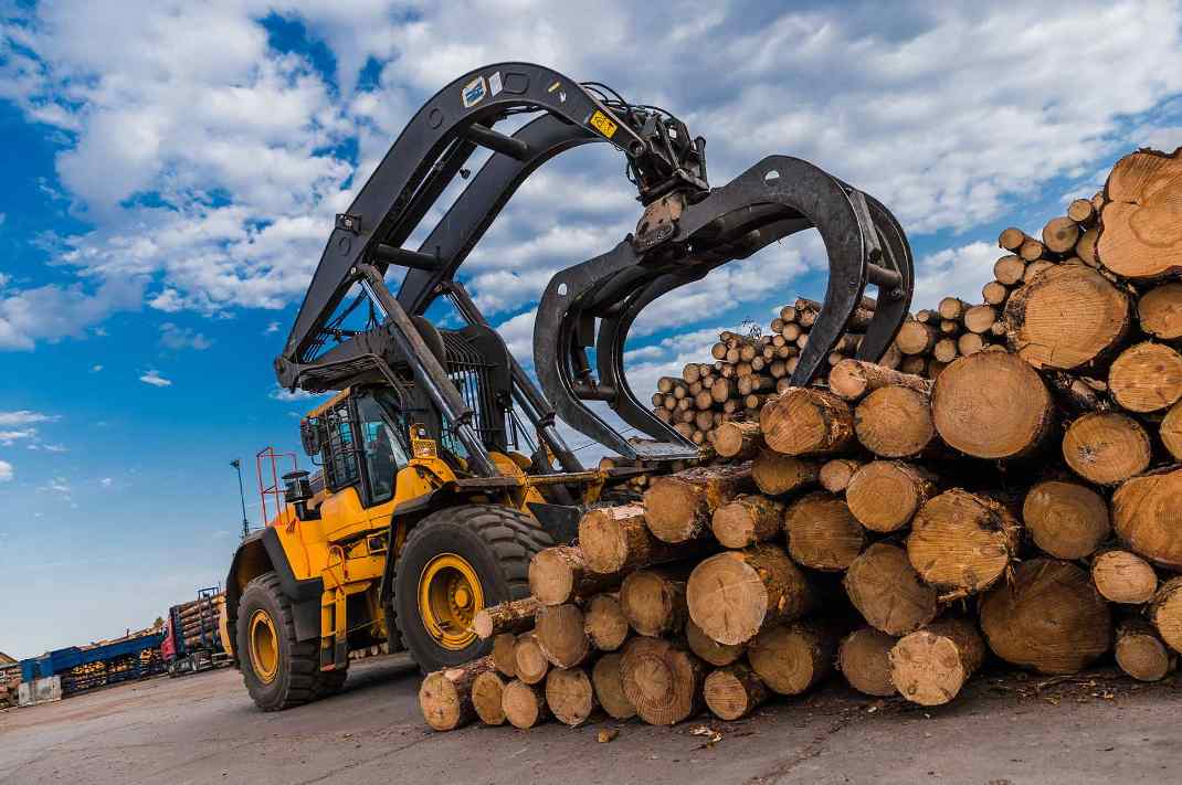 木材进口暴跌近四成！昔日老大“被踢出局”，其他小国闷声发大财(图3)