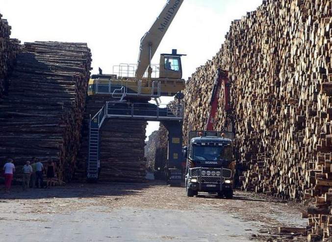 这国对中国木材单月出口增长138%！(图2)