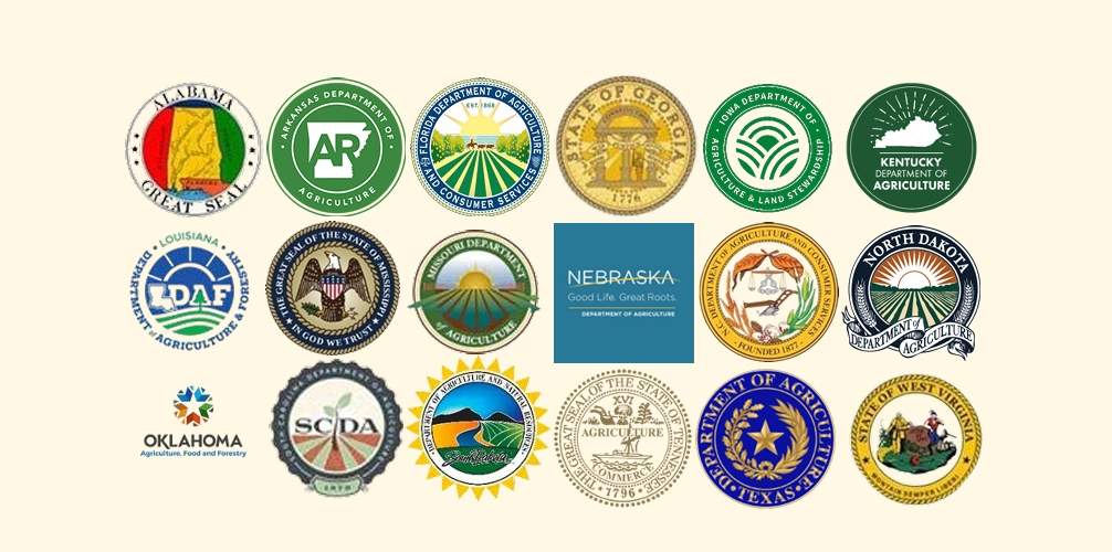 “无森林砍伐” 归类背后：美欧协议草案藏争议，墨西哥木材或借道美国闯欧盟(图3)