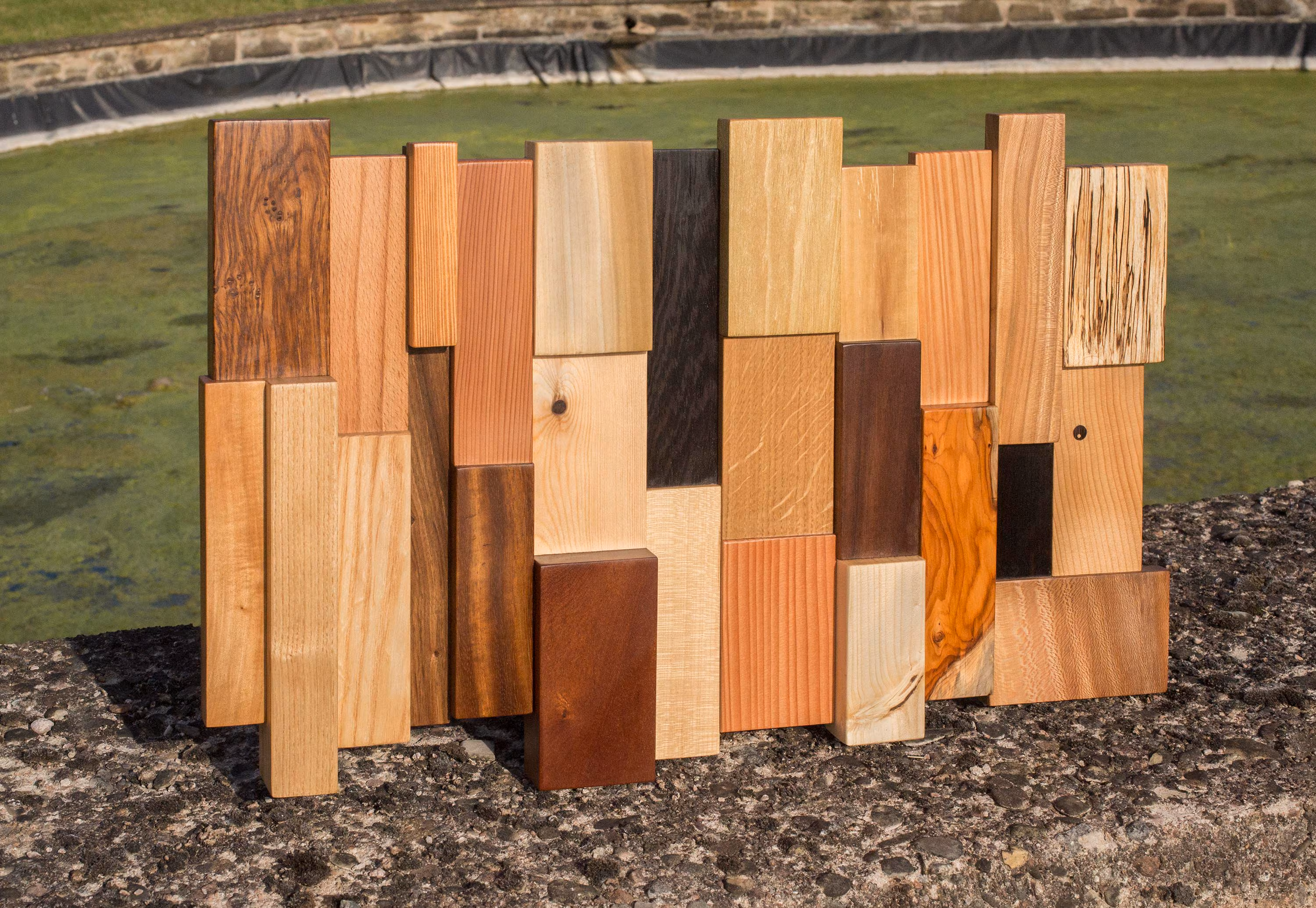 木材鉴定革命：ATR-FTIR 光谱如何携手化学计量学筑牢行业诚信防线？(图2)