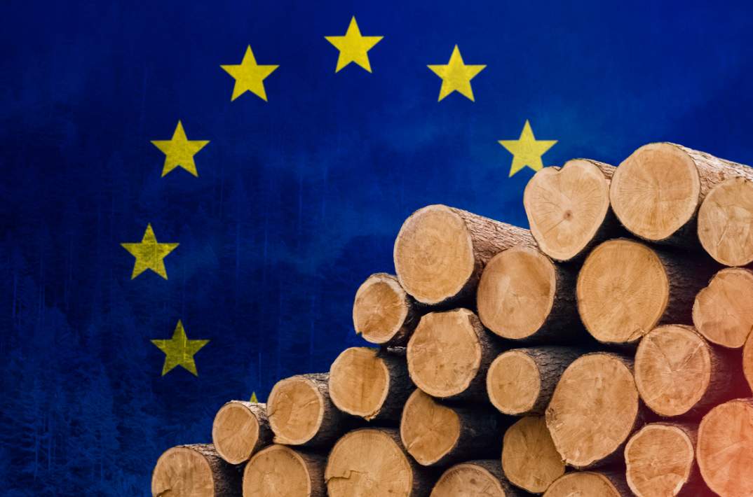 破例给老美木材“开绿灯”？无视WTO规则，多国：准备联手“亮剑”(图1)