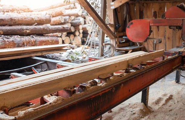 90.3亿！这地：木材出口展现强劲韧性！但后续林企成本或增加8%至12%(图2)