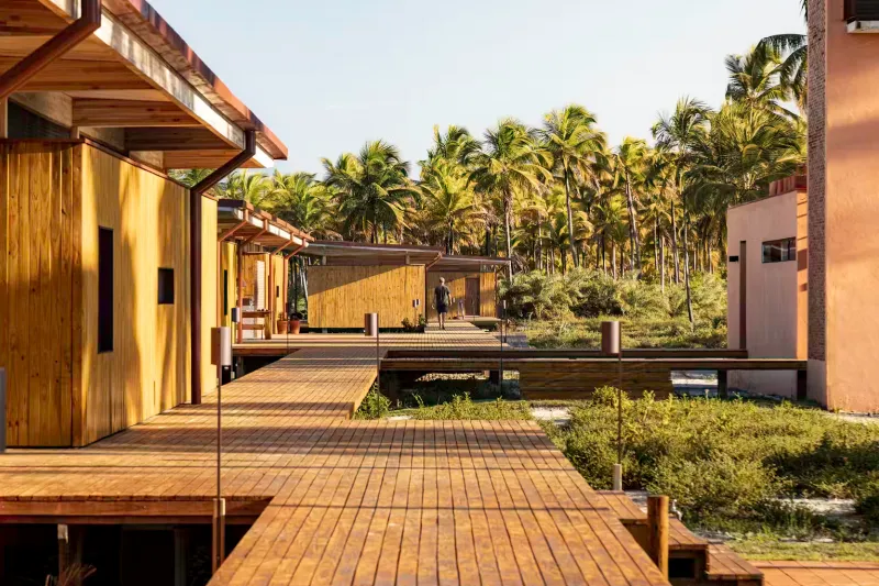 从森林到家园：巴西模块化木构住房系统实现快速低干扰建造(图1)