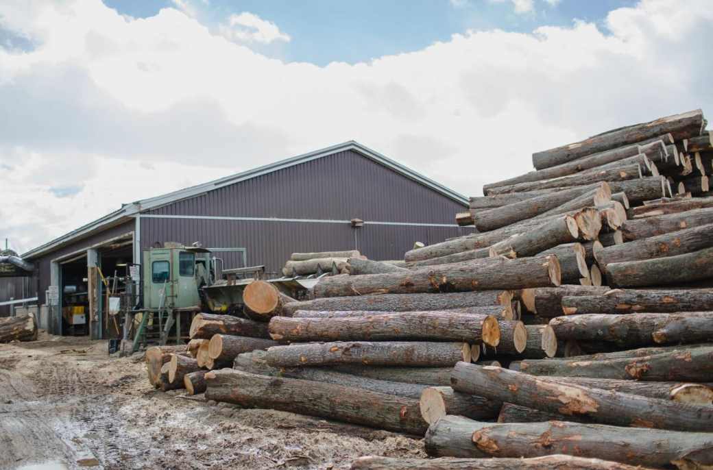 这地再投资3000万支持林业工人！(图1)