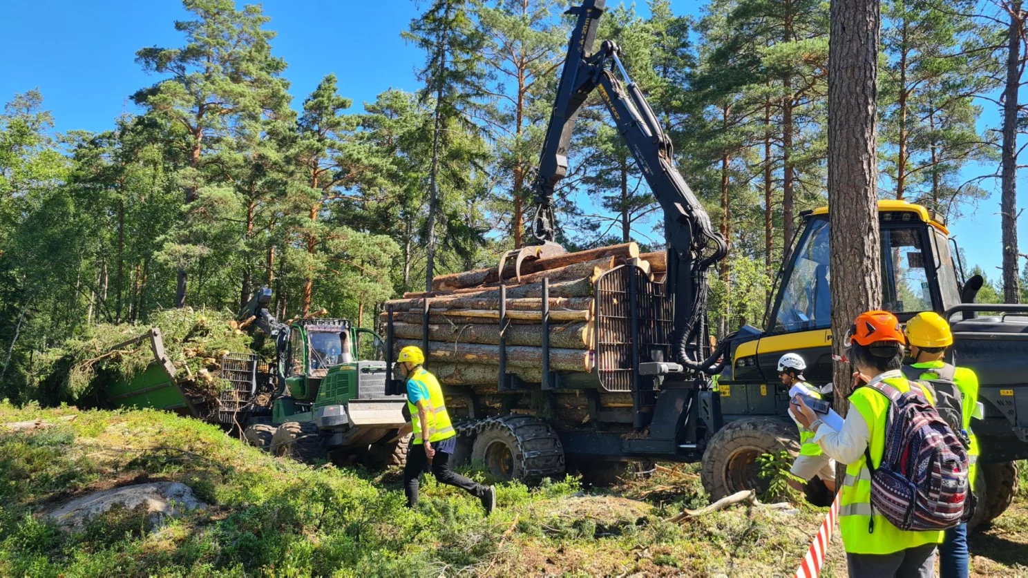 瑞典纸浆与造纸行业呈现矛盾信号：出口增长难掩市场疲软(图1)