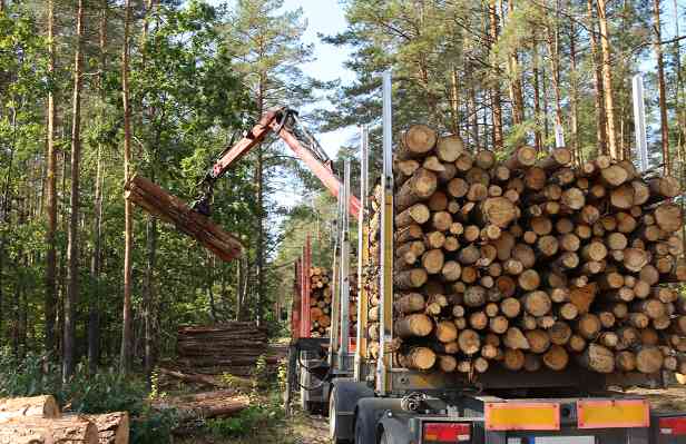 木材期货价格从近两个月高位回落(图2)