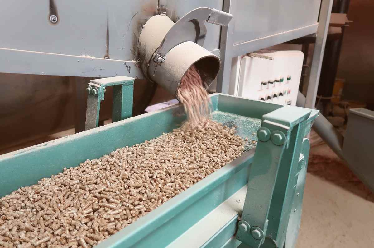 印尼大力发展木质生物质能源，助力2030年净碳汇目标(图2)