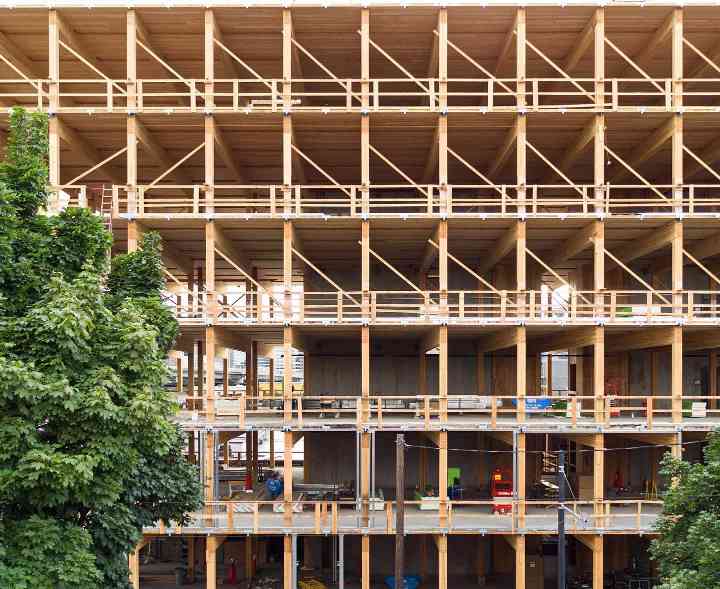 6亿澳元投资木材建筑：MODEL用交叉层压木打造可持续租赁住宅(图3)