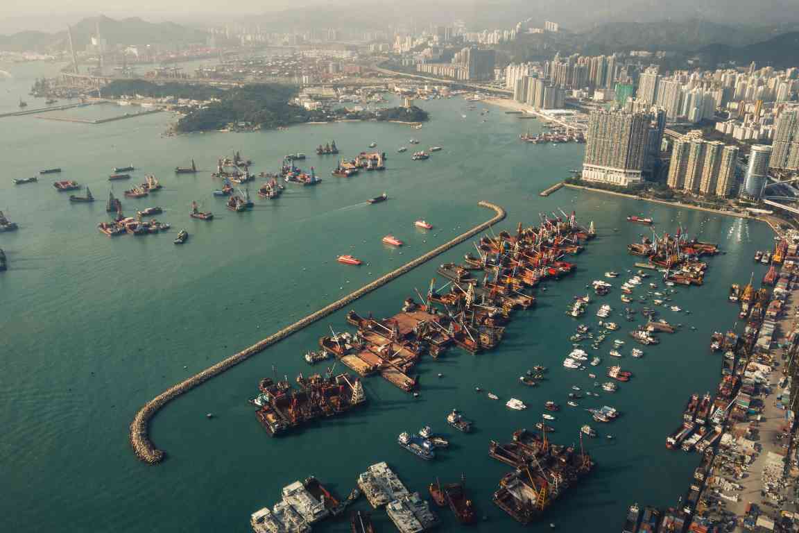 森林的最后防线：为何木材公司仍未准备好迎接EUDR？(图3)