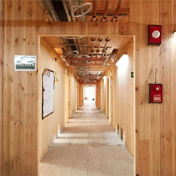 木头也能“柔性抗震”？加拿大学者研发可更换“保险丝”，破解木构建筑地震安全难题(图1)