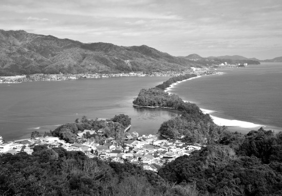 日本种植数百万棵黑松，守护海岸线防海啸(图1)